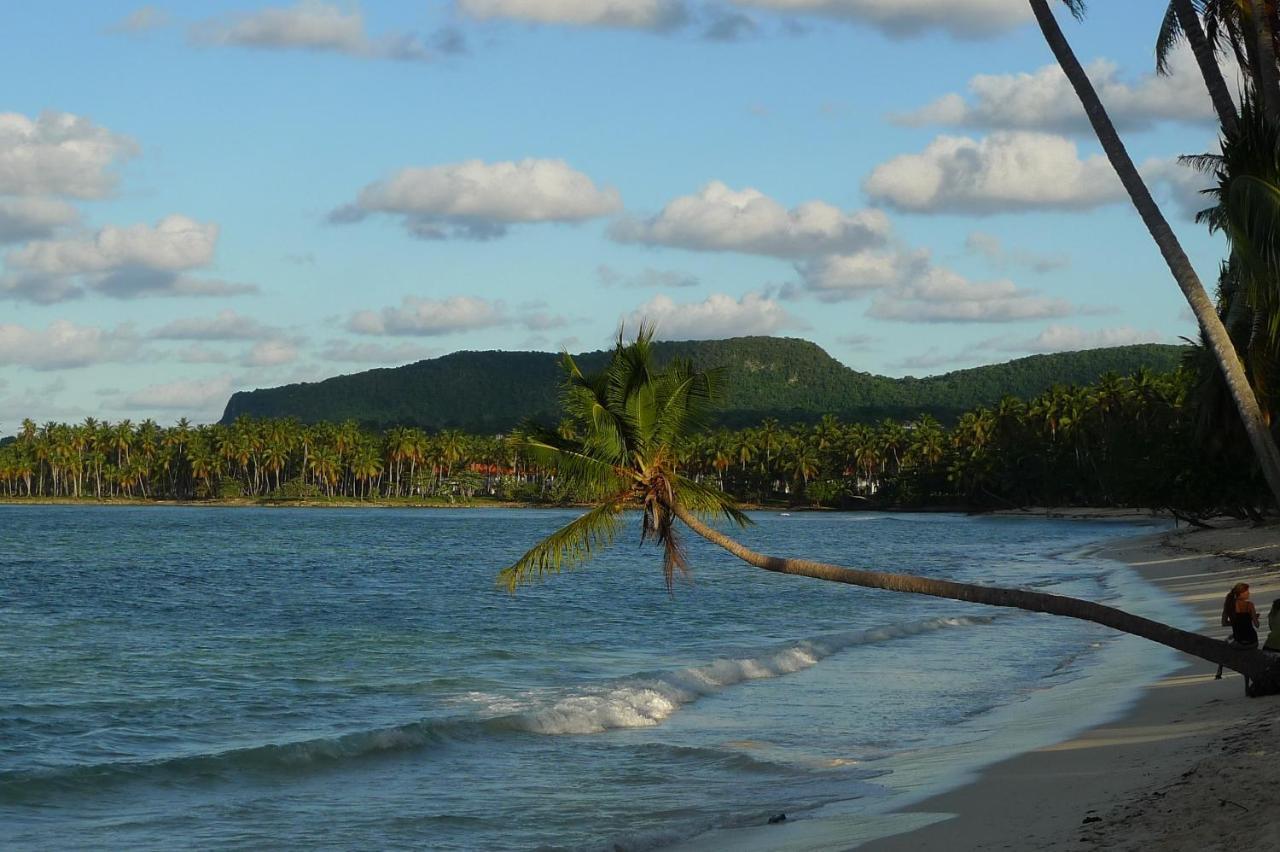 Apart-Hotel Garden Villa Las Galeras Extérieur photo