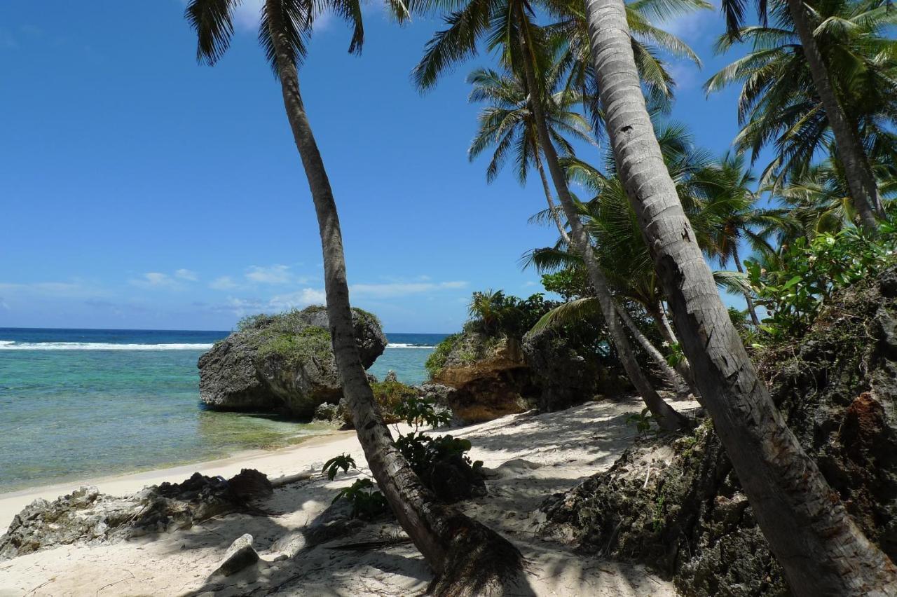 Apart-Hotel Garden Villa Las Galeras Extérieur photo